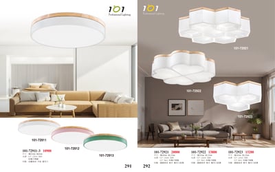 吸頂燈系列 101-2911