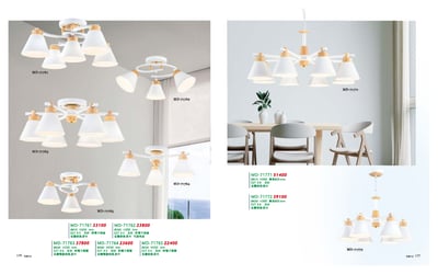 半吸頂燈 / 吊燈系列 MD1761