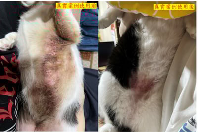 材料包成品說明-(方便免沖)天然乾洗順毛精華水100ml3