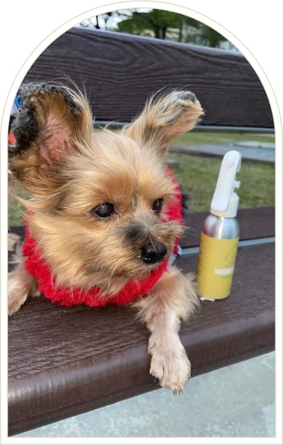 材料包成品說明-(戶外必備)天然驅蟲精萃100ml1