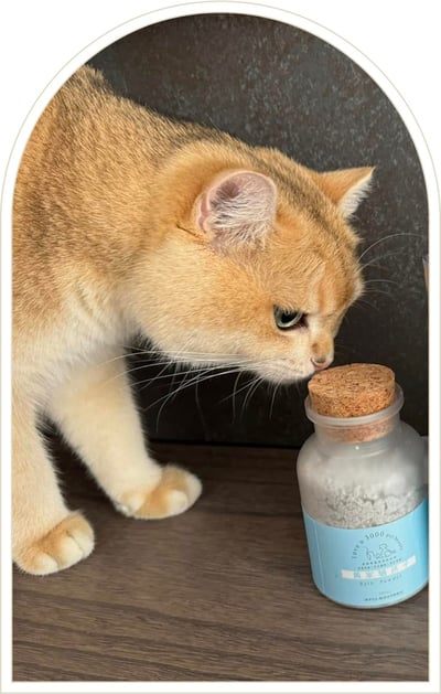 材料包成品說明-(不起泡配方)天然溫和沐浴粉200ml2