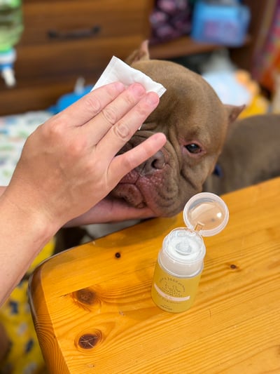 材料包成品說明-(眼周精華水)天然潔眼修護純露60ml4