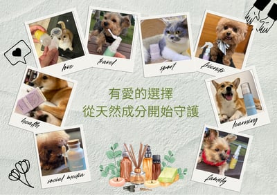 $1720一起愛你專案(選2送1)4