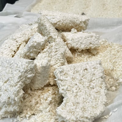 米麴｜Rice Koji1