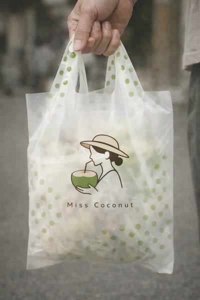 椰子小姐 / Visual Identity4