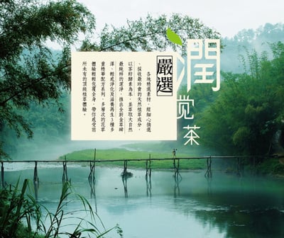 【茶寶】金萃瞬澤茶籽洗髮露350ml6