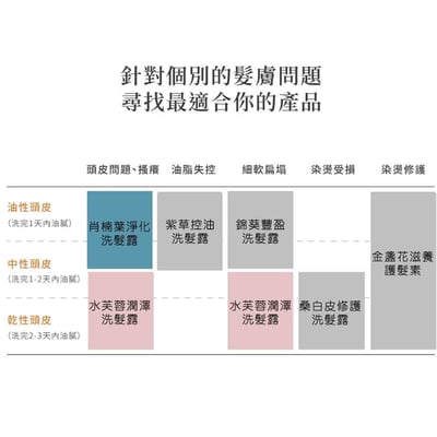 【茶籽堂】洗髮露-桑白皮修護 500ml2