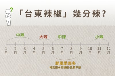 【白裏透紅 】剝皮辣椒 450g（苦茶油／火辣－2種口味）13