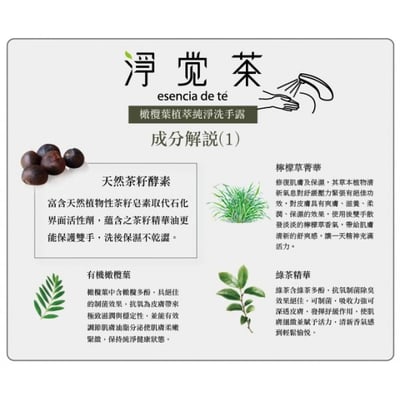 【茶寶】天然茶籽植萃純淨洗手露 350ml3
