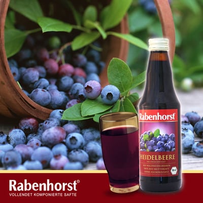 【DR.OKO】德國藍莓原汁330ml2