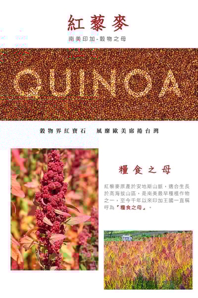 【米森】有機紅藜麥200g*買一送一*2