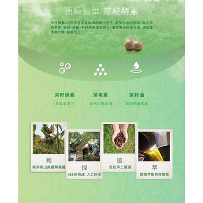 【茶寶】茶樹綠茶茶籽沐浴露 350ml3