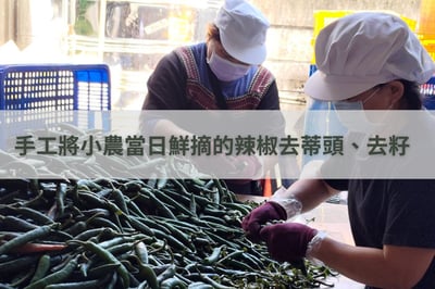 【白裏透紅 】剝皮辣椒 450g（苦茶油／火辣－2種口味）9