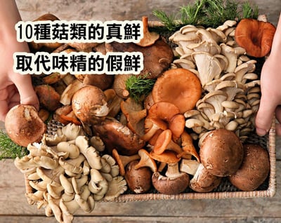 【長樂】鮮菇粉150g X 20瓶3