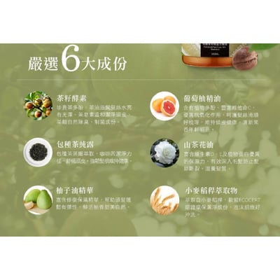 【茶寶】柚香茶籽輕盈洗髮露 350ml3