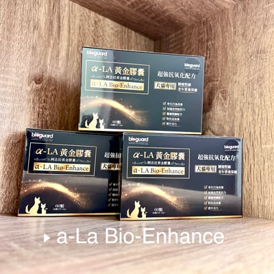 α-LA 阿法拉黃金膠囊 腫瘤 老年照護 超強抗氧化配方 60顆裝1