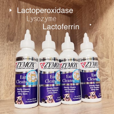 美國原裝進口 ZYMOX 犬貓專用 三酵合一潔耳液 Ear Cleanser 118ml1