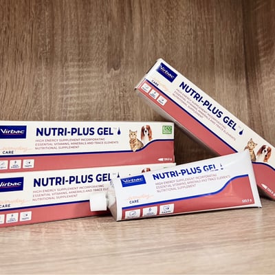 法國維克 Nutri Plus Gel® 克補軟膏 犬貓專用高能量營養補給品1