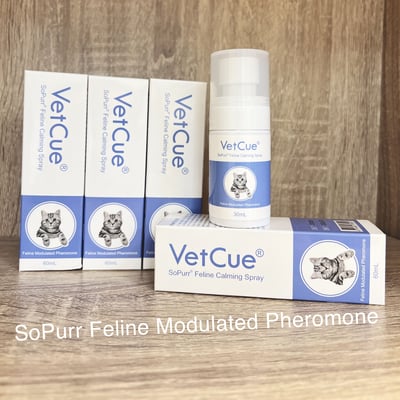 VetCue 舒普貓咪調和型費洛蒙噴劑 30ml/60ml裝 情緒舒緩 減少緊迫 穩定情緒1