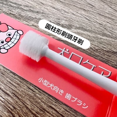 日本製 mind up 犬貓寵物專用牙刷 迷你刷頭 柔軟刷毛  360度深層清潔  口腔清潔