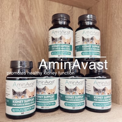 美國 AminAvast 貓/小型犬專用 胺腎 腎衰竭 腎臟保健 60顆裝 胺基酸1