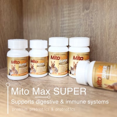 超級樂活素 優質益生菌 中小型犬貓 腸道保健.腎臟保健.降低體臭.糞臭.維持免疫力1