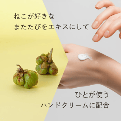 【貓奴必備！貓薄荷親密護手霜】3