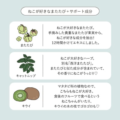 【貓奴必備！貓薄荷親密護手霜】6