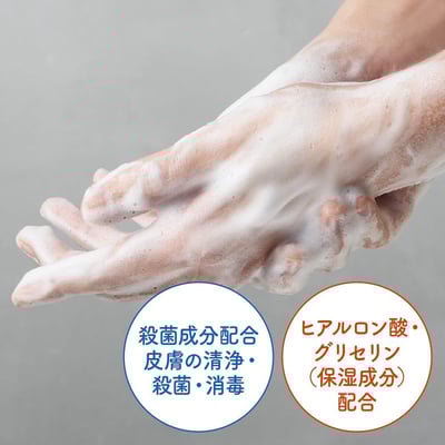 【日本Biore The Hand 】Aesop平替 慕斯洗手乳 280ml herbal wood木質香5