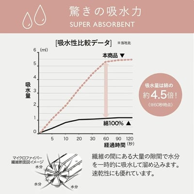 【日本直送 】快乾吸水毛巾+髮帶組6