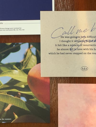 （現貨）韓國 t.d.s ｜call me by your name 明信片組（6張）1
