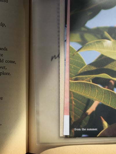 （現貨）韓國 t.d.s ｜call me by your name 明信片組（6張）4