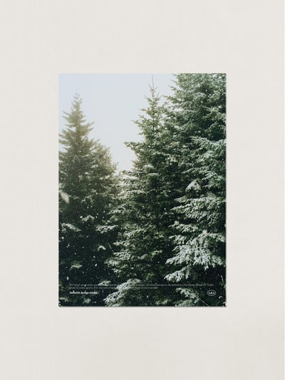 （現貨）韓國 t.d.s | 白色冬日系列 韓國A3海報3