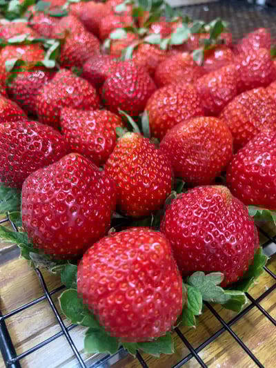 草莓珠寶盒蛋糕2