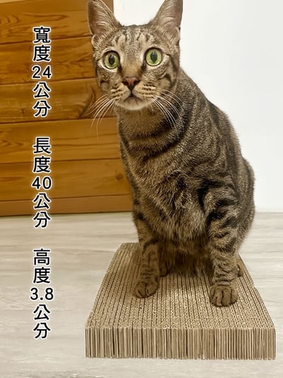 【蕉來媽】平抓板 （原名大抓板）2