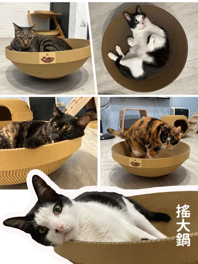 【蕉來媽】 搖大鍋 添加纈草粉6