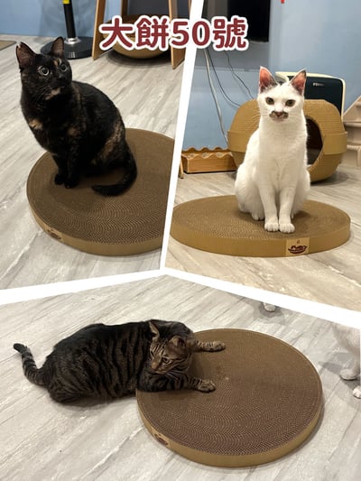 【蕉來媽】大餅圓形平面 3款 添加纈草粉5