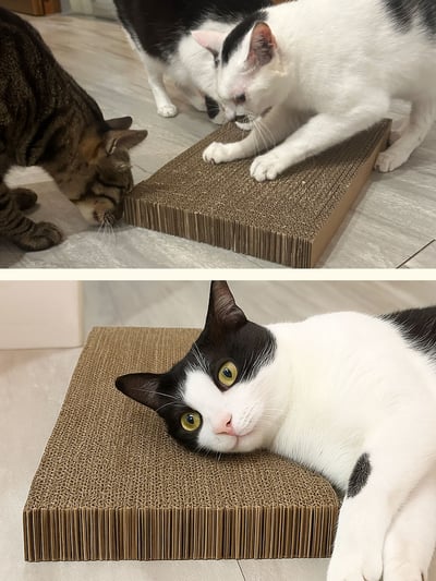 【蕉來媽】平抓板 （原名大抓板）3