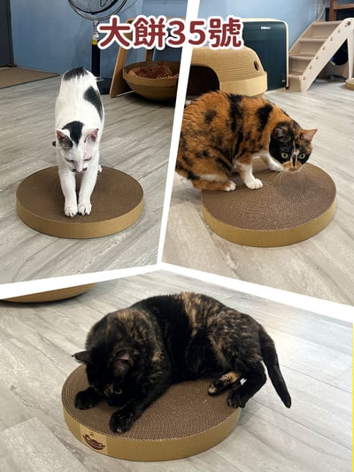 【蕉來媽】大餅圓形平面 3款 添加纈草粉3