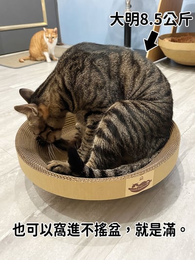 【蕉來媽】 不搖盆 添加纈草粉5