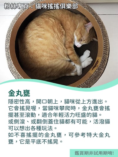 【蕉來媽】金丸甕 添加纈草粉2