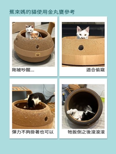 【蕉來媽】特大金丸甕 添加纈草粉3