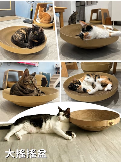 【蕉來媽】 大搖搖盆 添加纈草粉5