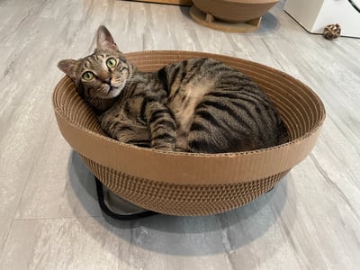 【蕉來媽】 樂缸45號 添加纈草粉7