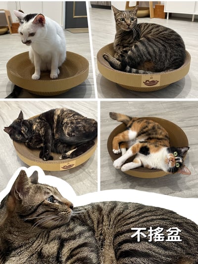 【蕉來媽】 不搖盆 添加纈草粉7