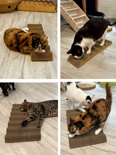 【蕉來媽】波浪抓板4