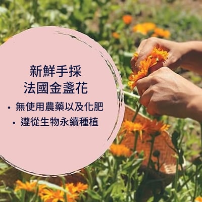 金盞花凝露 45g5