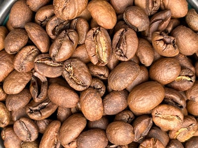 鎮店之寶咖啡｜ 衣索比亞 Yirgacheffe 耶加雪菲 Koke Shalaye Wet Mill 科卡/莎菈耶處理站 黑果日曬批次Gr. 1 芒果橙香小調6