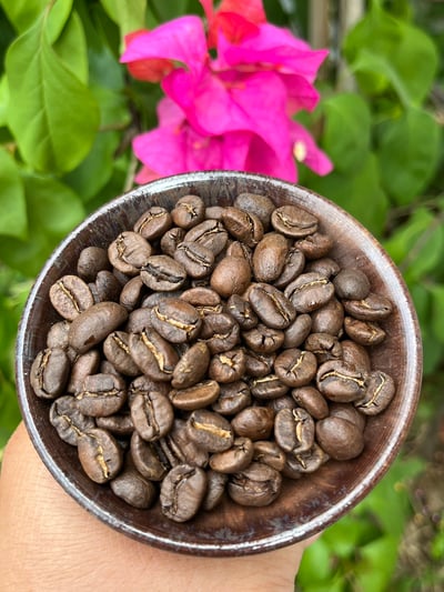 父親節大優惠｜CoE咖啡熟豆買小送大專案組合(限時限量)8