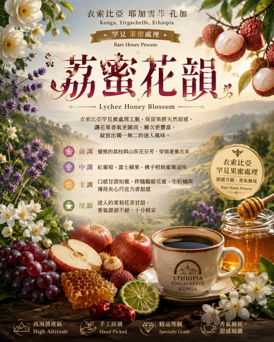 熊團長每月特惠咖啡｜衣索比亞 耶加雪菲 🍒荔蜜花韻🌹 果蜜咖啡 (買一送一)1